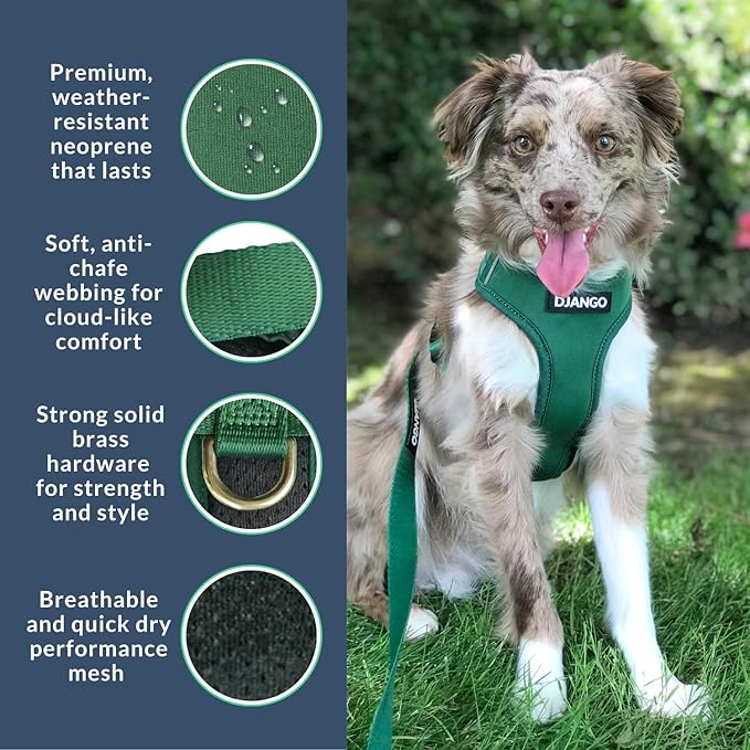 DJANGO Adventure Dog Harness - Stylish and Durable Small Dog Harness for Outdoor Adventures and Everyday Wear - Forest Green Neoprene Adjustable Harness for Dogs with Reflective Piping & Brass D-Ring