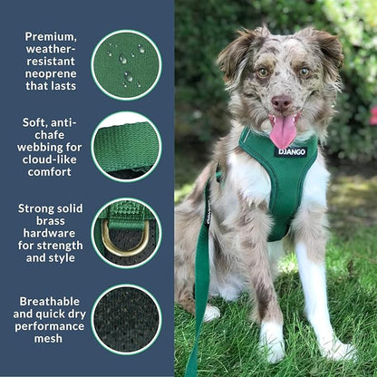 DJANGO Adventure Dog Harness - Stylish and Durable Medium Dog Harness for Outdoor Adventures and Everyday Wear - Forest Green Neoprene Adjustable Harness for Dogs with Reflective Piping, Brass D-Ring