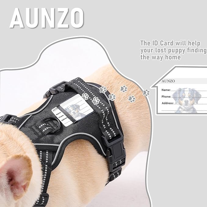 Extra Small Dog Vest Harness, No-Pull Pet Harness with 2 Leash Clips, Adjustable Soft Padded Dog Vest, Reflective No-Choke Pet Oxford Vest with Easy Control Handle for XSmall Breeds, Black, XS