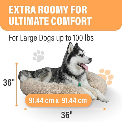 Active Pets Calming Plush Dog Bed Donut Joint Support Anxiety Relief Washable Pet Bed with Removable Cover for Dogs Cats, Large 36", Beige