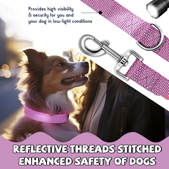 Reflective Dog Collar and Leash Set, Nylon Dog Leash with Heavy-Duty Steel D-Ring, Adjustable with Quick Release Buckle for Large Dogs, Purple L