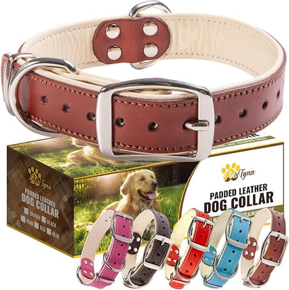 ADITYNA Heavy-Duty Leather Dog Collar for Medium Dogs - Soft Padded for Comfort - Medium Dog Collar for Walking, Training, and Hiking