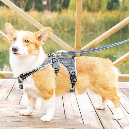 BELPRO Multi-Use Support Dog Harness, Escape Proof No Pull Reflective Adjustable Vest with Durable Handle, Dog Walking Harness for Big/Active Dogs (Black, S)