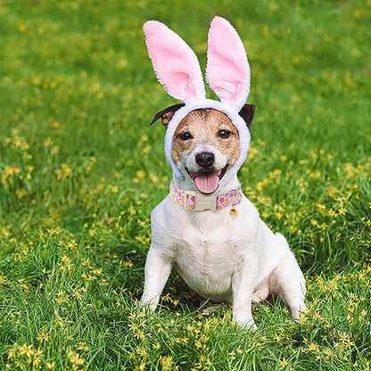 ARING PET Easter Dog Collar-Cute Adjustable Pink Chick Pet Collars Puppy Collar Gifts with Quick Release Buckle for Girl Boy Dogs-M
