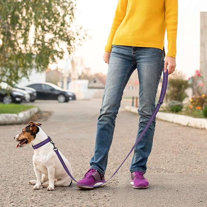 Mile High Life Reflective Dog Collar & Leash Set - Adjustable, Medium (Purple, Pack of 2)