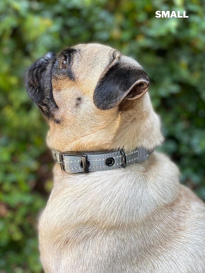 Tuff Pupper Heavy Duty Dog Collar with Handle | Ballistic Nylon Heavy Duty Collar | Padded Reflective Dog Collar with Adjustable Stainless Steel Hardware | Convenient Sizing for All Breeds