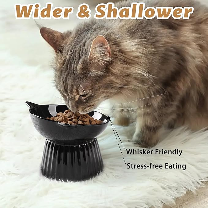 Wellbro Ceramic Raised Cat Bowl，Tilted Raised Bowl Anti Vomit for Indoor Cats Whisker Friendly Pet Feeder for Cats Puppies, Microwave and Dishwasher Safe (Black)