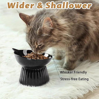 Wellbro Ceramic Raised Cat Bowl，Tilted Raised Bowl Anti Vomit for Indoor Cats Whisker Friendly Pet Feeder for Cats Puppies, Microwave and Dishwasher Safe (Black)