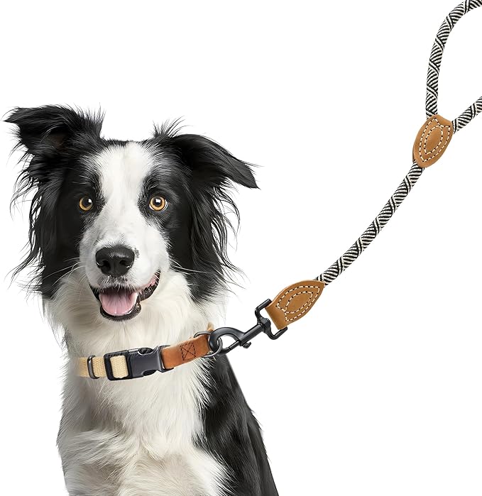 Mile High Life Short Leash for Large Dogs, Short Dog Rope Leash with Heavy Duty Metal Sturdy Clasp, Genuine Leather Tailored Connection(White, 18 Inch)