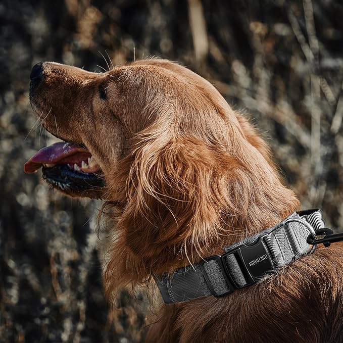 OneTigris Tough Dog Collars, Tactical Dog Collar with Handle, Milltary Adjustable Dog Collar with Heavy Duty Metal Buckle for Training (Gray, S)