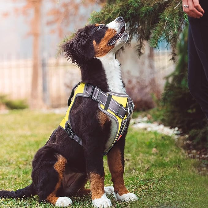 Fida Dog Harness, Multi-Functional No-Pull Pet Vest Harness with Saddle Bags Backpack, Front Leash Clip, Adjustable Soft Padded Reflective No-Choke Dog Vest Heavy Duty for Medium Dog, M, Yellow