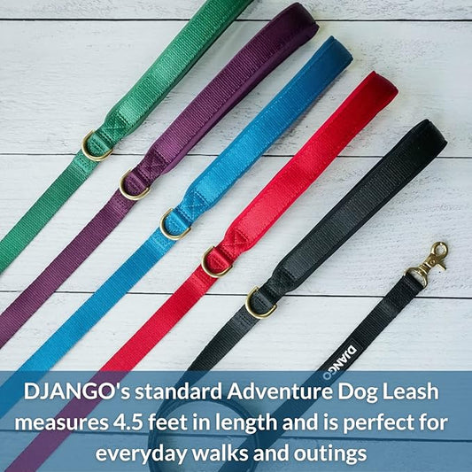 DJANGO Adventure Dog Leash – Strong, Comfortable, and Stylish Dog Leash with Solid Brass Hardware and Padded Handle - Designed for Outdoor Adventures and Everyday Use (Pacific Blue)