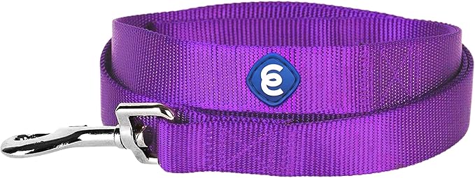 Blueberry Pet Essentials Dark Orchid Dog Leash for X-Small -5' * 3/8" Dogs | Heavy Duty Nylon Lead | Lightweight Puppy & Cat Leash for Walking & Training