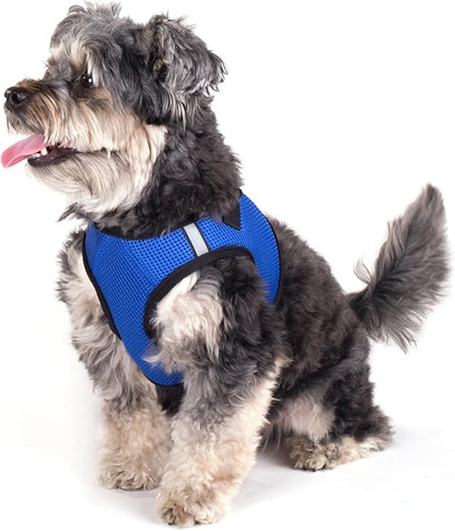THE WORTHY DOG Step-in Dog Harness for Small Dogs, Comfortable Mesh, Reflective, Strong Hook and Loop Closure, Quick Release Buckle, Royal Blue, XX-Small