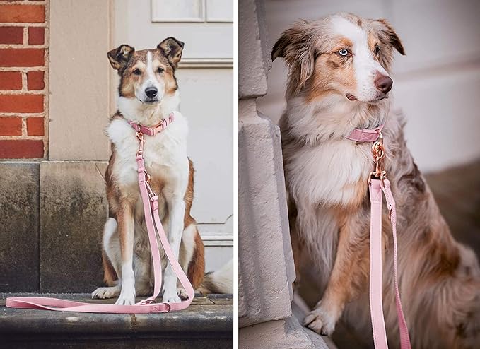 Soft Leather Dog Collar and Leash (6.6') Set - Stylish Rose Gold Heavy Duty Metal Buckle, 4 Adjustable Lengths Leash for Small Medium Large Dogs - Comfortable & Easy to Clean Pink L(15.4"-24.8")