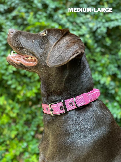 Tuff Pupper Heavy Duty Dog Collar with Handle | Ballistic Nylon Heavy Duty Collar | Padded Reflective Dog Collar with Adjustable Stainless Steel Hardware | Convenient Sizing for All Breeds