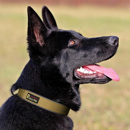 Plutus Pet Tactical Dog Collar, Reflective, Adjustable Heavy Duty Dog Collar, Soft Padded and Comfortable, for Small Medium and Large Dogs (Brown, XS)