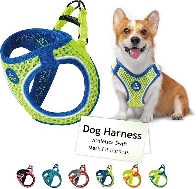 DOCO Dog Harness for Large Sized Dog - Athletica Adjustable, No Pull, No Choke, Puppy Vest Lightweight Air Mesh, Reflective, Puppy Essentials - Lime, Medium (Chest 16"-17", Weight 10-15 lbs)