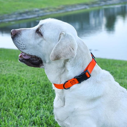 Dogline Biothane Waterproof Dog Collar with Quick Release Buckle Strong Coated Nylon Webbing with Odor- Proof for Easy Care Easy to Clean Fits Small Medium or Large Dogs, Orange 1" W 15-23" L