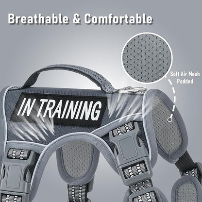 No-Pull Dog Harness for Small Dog Breeds, Anti-Escape Easy Walking Reflective Adjustable Lightweight Dog Vest with Breathable Oxford Material, Easy on Easy Off with Neck Buckle, Gray XS