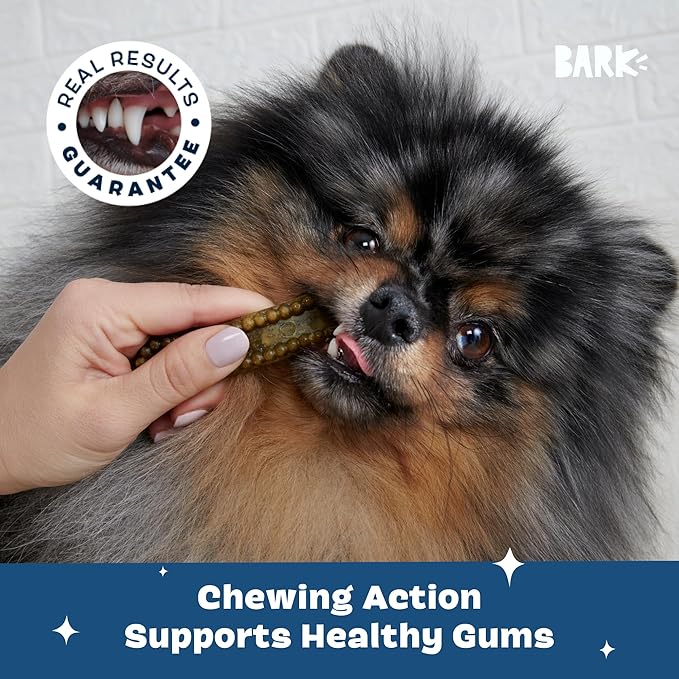 Barkbox Bright Durable Dental Chew Sticks for Dogs - Made for Tough Chewers, Small Breeds (15 Chews)