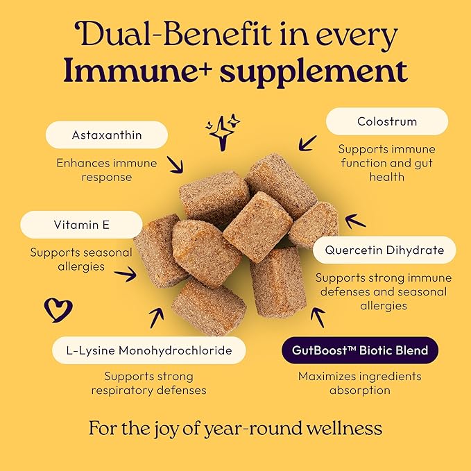 New! WellJoy Cat Supplement Immune+ GutBoost | Cat Health Supplement | Enhances Immune Response | Dual-Benefit GutBoost Formulation | Vet Formulated | Made in USA | Chicken Flavor | 90 Soft Chews