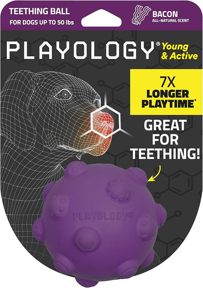 Playology Puppy Teething Ball Dog Toy for Young & Active Dogs | Engaging All-Natural Bacon Scented Chew Toy for Puppies