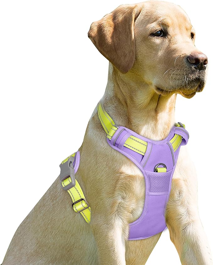 BARKBAY No Pull Dog Harness Front Clip Heavy Duty Reflective Easy Control Handle for Large Dog Walking(Violet Purple & Sunlight,XL)
