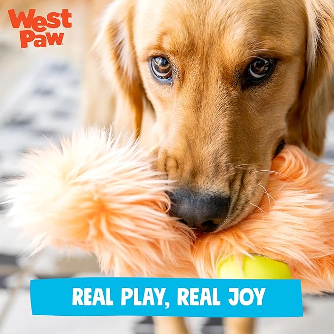 WEST PAW Rowdies Astrid Durable Plush Dog Toy with Reinforced Seams and Chew Resistant Design for Tough Play Safe Indoor or Outdoor Fun for Dogs Who Deserve The Best - Seafoam