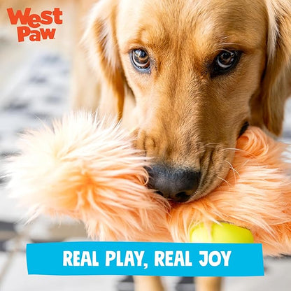 WEST PAW Rowdies Astrid Durable Plush Dog Toy with Reinforced Seams and Chew Resistant Design for Tough Play Safe Indoor or Outdoor Fun for Dogs Who Deserve The Best - Seafoam