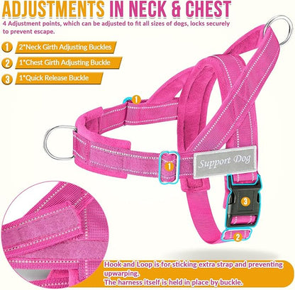 SlowTon No Pull Dog Harness - Heavy Duty Dog Harness and Leash Set for Medium Large Dogs, Reflective Tactical Harness with Soft Padded and Front Clip for Easy Walk and Training (Fuchsia M)