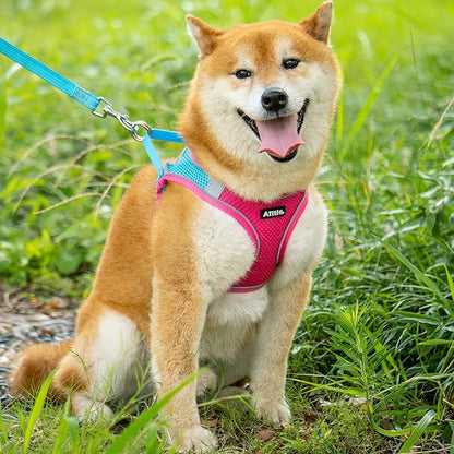 AIITLE Dog Harness, No-Pull Cat Harness with a Leash, Adjustable Reflective Dog Vest, Cat Harness Escape Proof, Outdoor Walking, Running,Training for Extra Small Dogs and House Cats Hot Pink XXXS