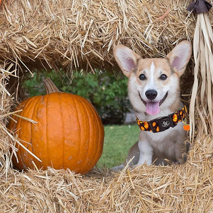 Elegant little tail Halloween Dog Collar, Pumpkin with Maple Leaf Print Fall Pet Collars Cotton Soft Sturdy Puppy Collars Holiday Female Adjustable Collar for Medium Dogs
