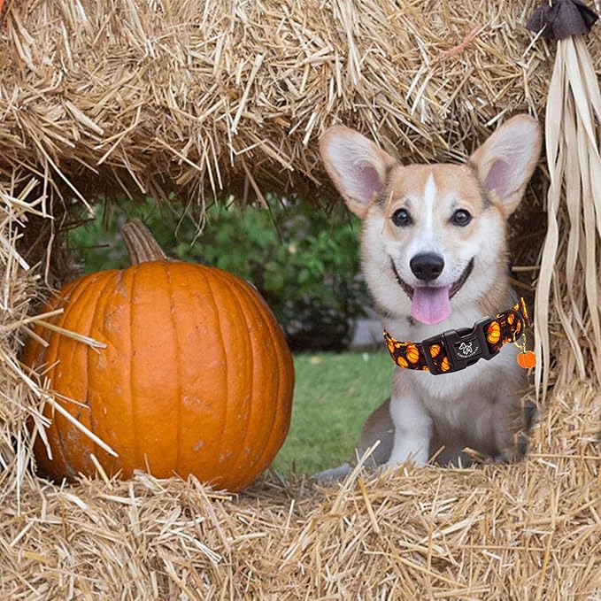 Elegant little tail Halloween Dog Collar, Pumpkin with Maple Leaf Print Fall Pet Collars Cotton Soft Sturdy Puppy Collars Holiday Female Adjustable Collar for Small Dogs
