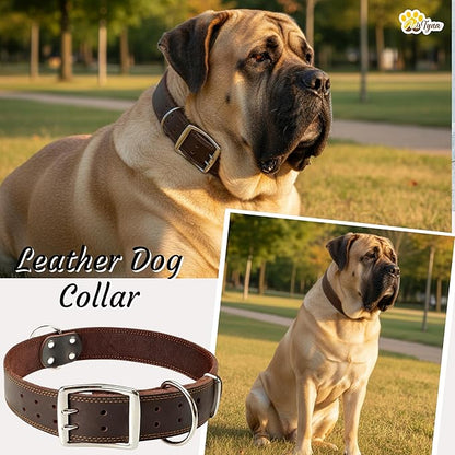 ADITYNA Big Leather Dog Collar - XXL Dog Collar for Giant Breeds Such as Mastiff (Giant: Fit 30" - 36" Neck, Brown)