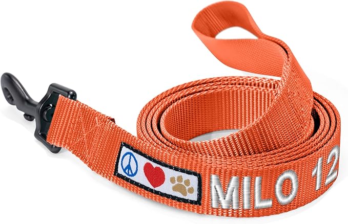 Pawtitas Personalized 6 ft Orange Dog Leash XS/S Custom Name and Phone Embroidery Strong Nylon Leash for Small Breeds