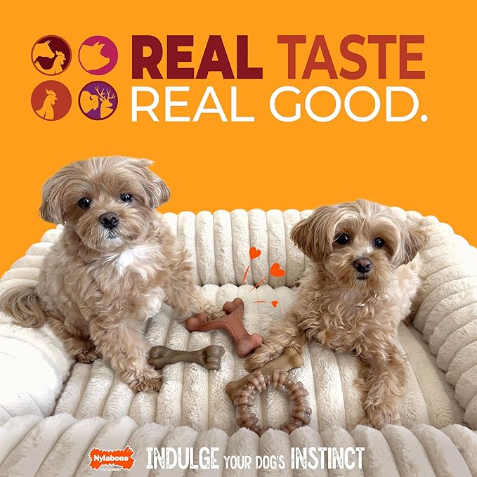 Nylabone Strong Chew Toy 4-Pack Bundle for Dogs Made with Real Bacon, Bison, Venison, Beef, & Chicken, Durable Dog Chew Bones for Aggressive Chewers, Small Dog Toys - Up to 25 lbs, 4 Count
