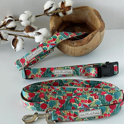 Lucky Love Dog - Adjustable Dog Collar with Easy Click Buckle for Small Dogs, Durable, & Comfortable for Male & Female Dogs, Pet Collar for Puppies & Adult Dogs - Ginny, Small