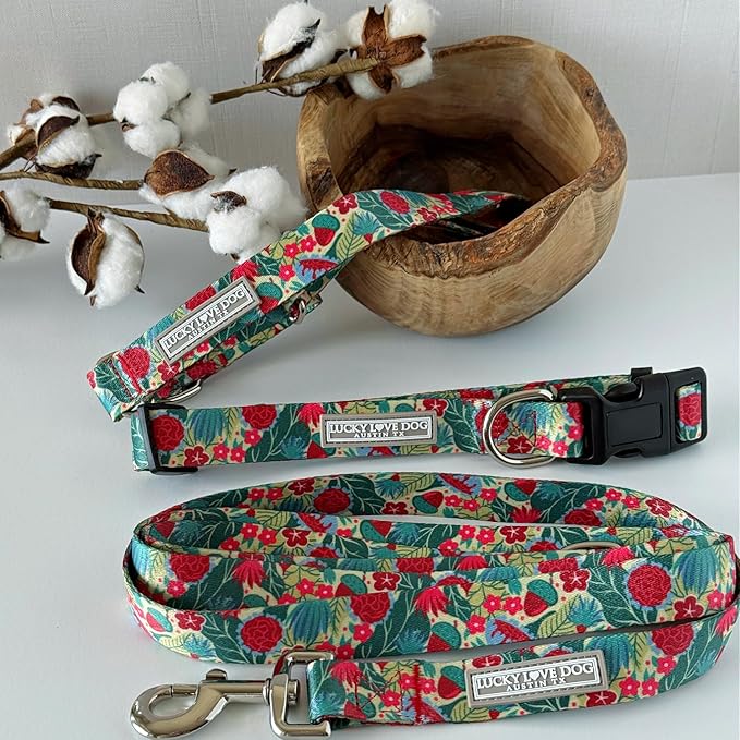 Lucky Love Dog - Adjustable Dog Collar with Easy Click Buckle for Large Ones, Durable, & Comfortable for Male & Female Dogs, Pet Collar for Puppies & Adult Dogs - Ginny, Large