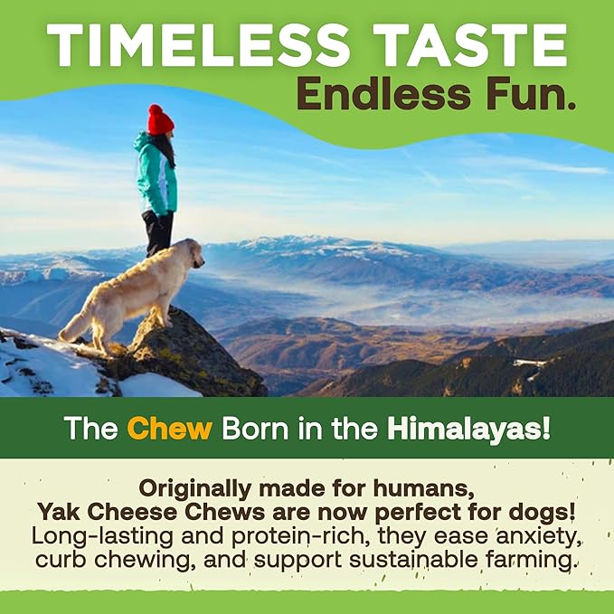 EcoKind Himalayan Yak Cheese Dog Chew | Great for Dogs, Treat for Dogs, Keeps Dog Busy & Enjoying, Indoors & Outdoor Use (8 Small Sticks)