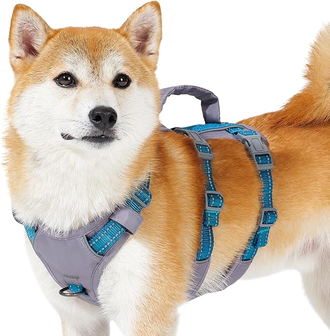 Huntboo Reflective Dog Harness with Handle, Escape Proof, No Slip, Breathable, Lightweight, Adjustable Lift Harness for Small, Medium, and Large Dogs Walking, Training, and Running Gear(Teal Blue,S)