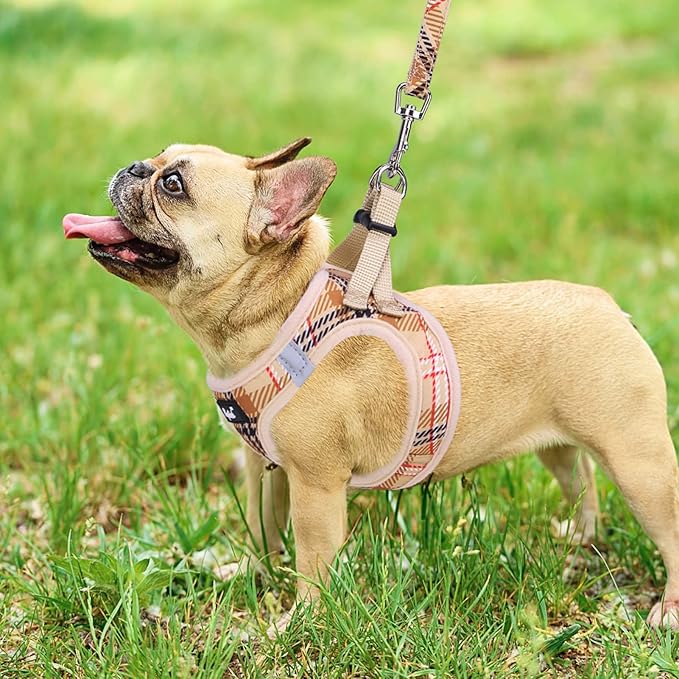 PUPTECK Dog Harness and Leash Set for Small Medium Dogs No Pull Step-in Soft Mesh Puppy Cat Vest Harnesses Reflective at Night, Plaid Pattern Beige S