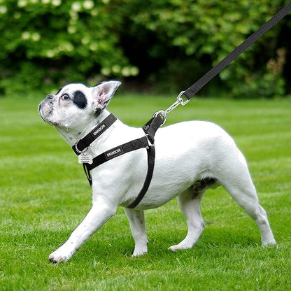 No Pull Dog Harness - Adjustable Step-in Harness & Leash & Collar Set for Small Medium Large Dogs - Escape Proof Soft Pet Harness for Walking, Training, Hiking, Outdoor Activities