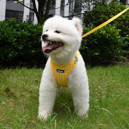 AIITLE Easy Walk Dog Vest Harness and Leash Set, Pet Supply No Pull, Breathable Mesh, Reflective Stripes, Adjustable Escape Proof Pet Outdoor Harnesses for Medium Dogs Yellow L
