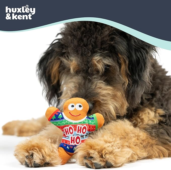 Huxley & Kent Funny Dog Toy w/Squeaker – Holiday Power Plush Squeaky Dog Toys for Small Dogs – Durable Small Stuffed Animal for Indoor Play & Fetch - Tiny Tuff Ugly Sweater Party