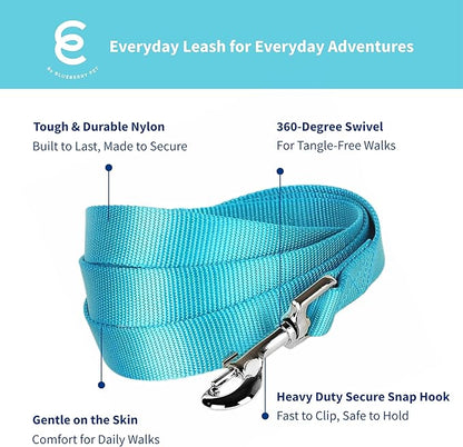 Blueberry Pet Essentials Turquoise Dog Leash for Medium - 5' * 3/4" Dogs | Heavy Duty Nylon Lead | Lightweight Puppy & Cat Leash for Walking & Training