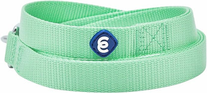 Blueberry Pet Essentials Pastel Green Dog Leash for Large - 4' * 1" Dogs | Heavy Duty Nylon Lead | Lightweight Puppy & Cat Leash for Walking & Training