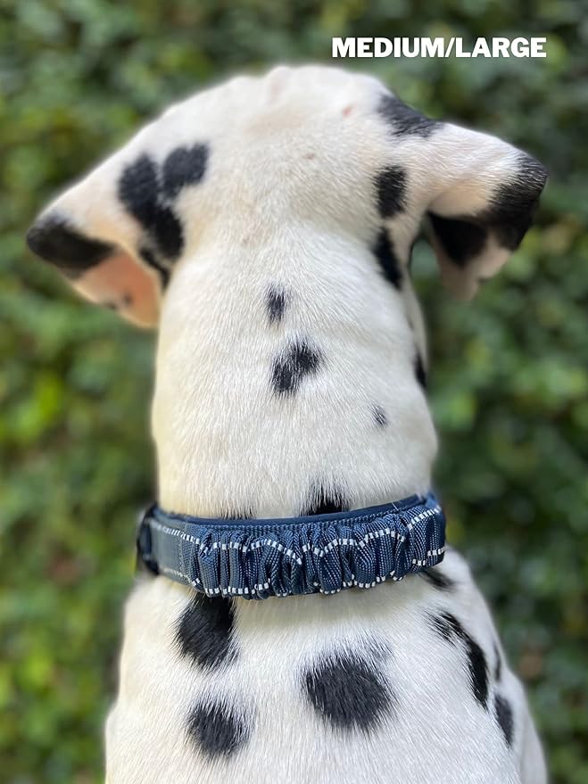 Tuff Pupper Heavy Duty Dog Collar with Handle | Ballistic Nylon Heavy Duty Collar | Padded Reflective Dog Collar with Adjustable Stainless Steel Hardware | Convenient Sizing for All Breeds