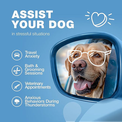 Calming Chews for Dogs Anxiety Relief - Soft Chews for Dogs - Melatonin, Chamomile Extract, Valerian Root - Travel Pack - Vet Visits, Grooming, Nail Trimming, Storms