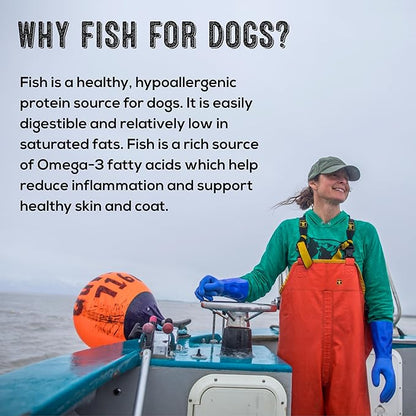 Polkadog Cod Skins for Dogs (4.7oz Regular) - Single Ingredient, Wild-Caught Fish Skin Dog Treats for All Breeds – High in Lean Protein & Omega-3. Hypoallergenic, Grain Free. Handcrafted & Made in USA